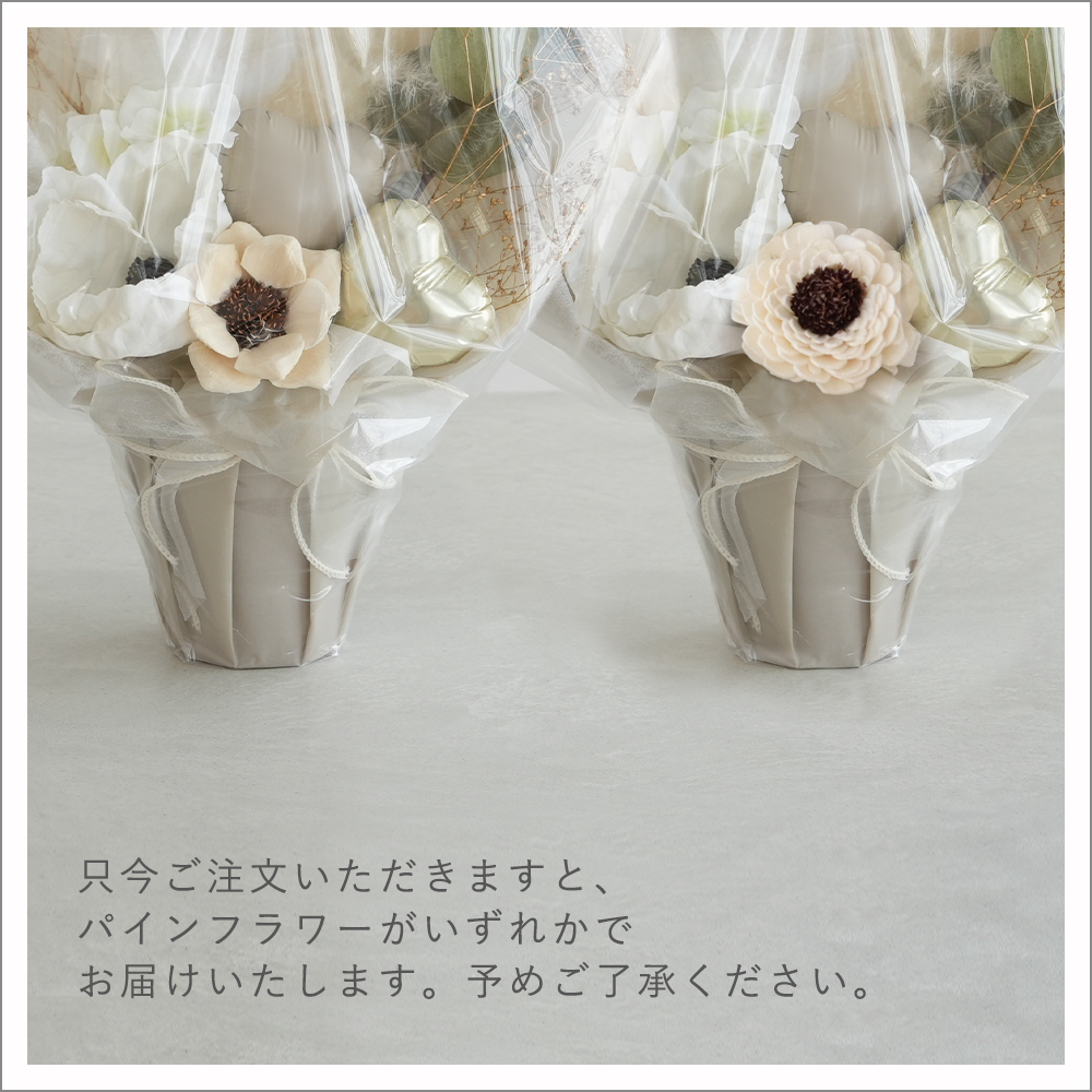 パインフラワーいずれか
