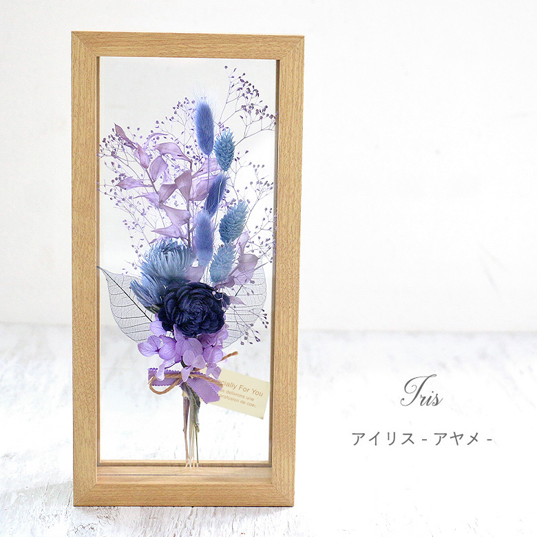 Color：アイリス
