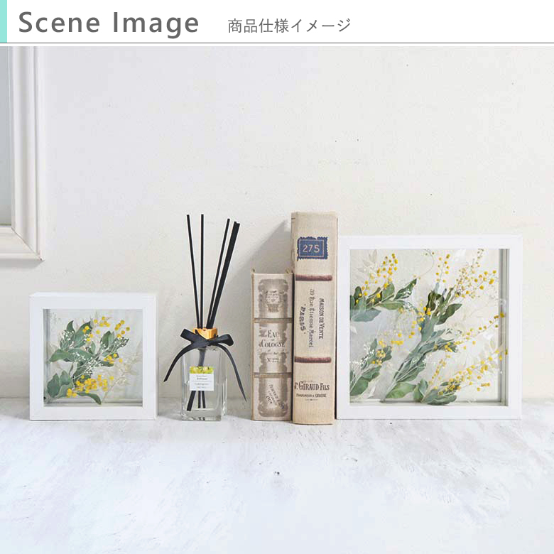 商品仕様イメージ/インテリアとして