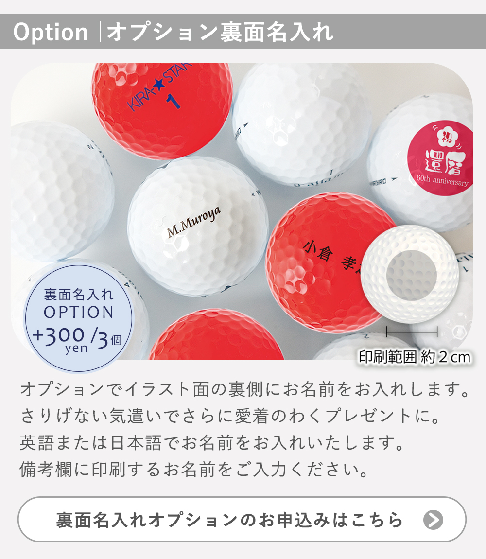 オプションでイラスト面の裏側に お名前をお入れします♪（有償300円）