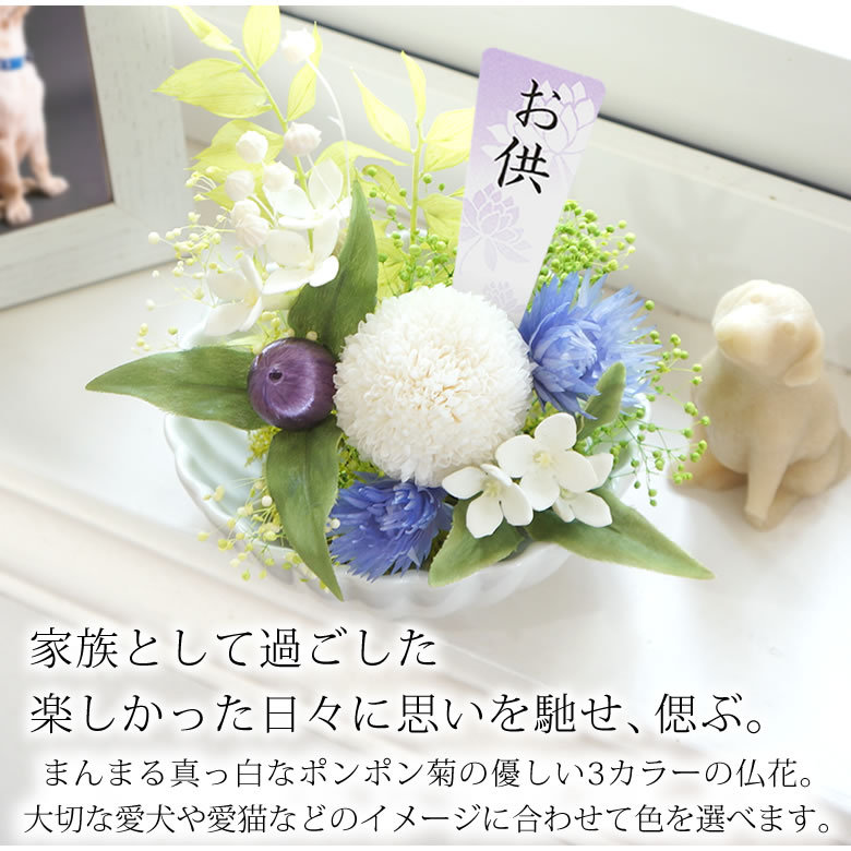 洋風 プリザーブドフラワー ペット仏花 メモリーwith お供え 供花 四十九日 一回忌 三回忌 初盆 法要 法事 葬祭 お名前プレート 花器付 Pre0269 お祝いギフトの専門店ベルビー 通販 Yahoo ショッピング