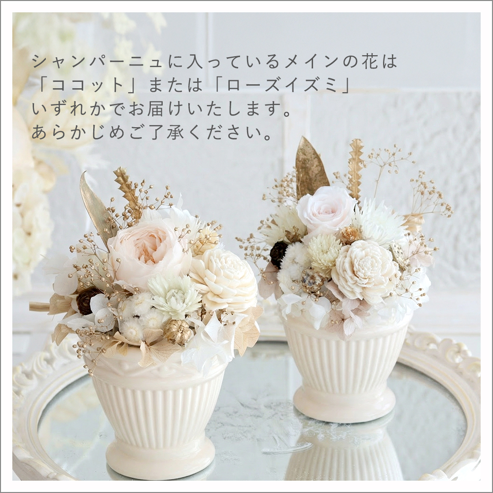シャンパーニュどちらかが行きます