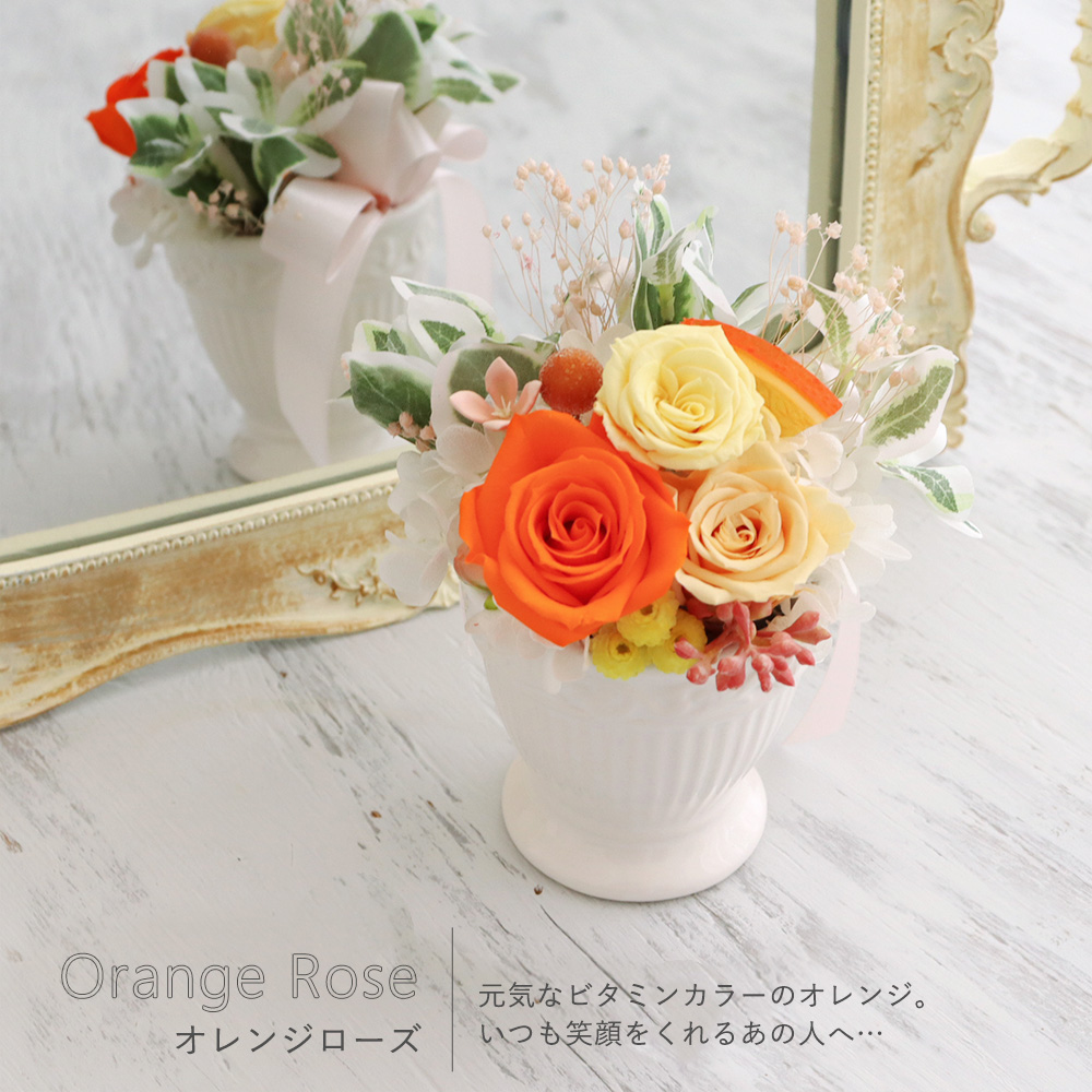 オレンジローズ