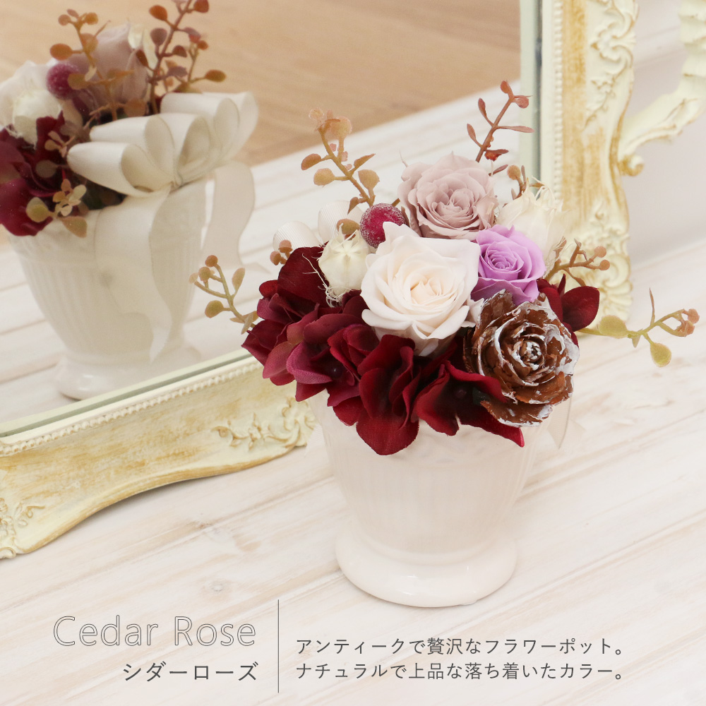 シダーローズ