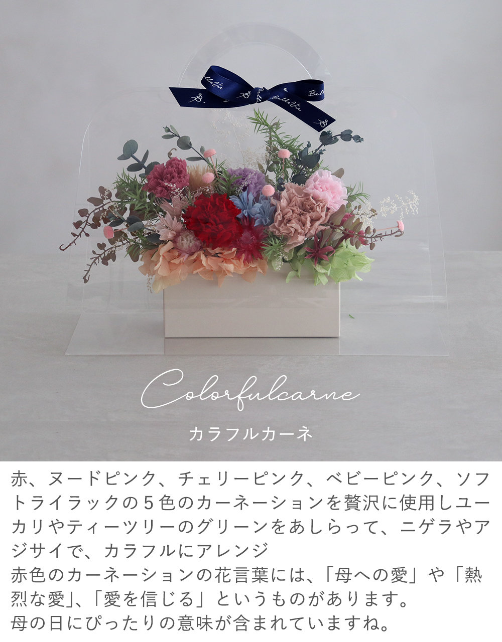カラー：カラフルカーネ
