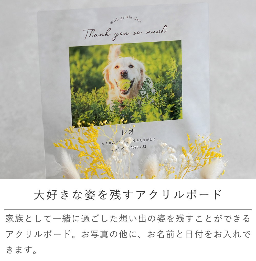 大好きな姿を残すアクリルボード