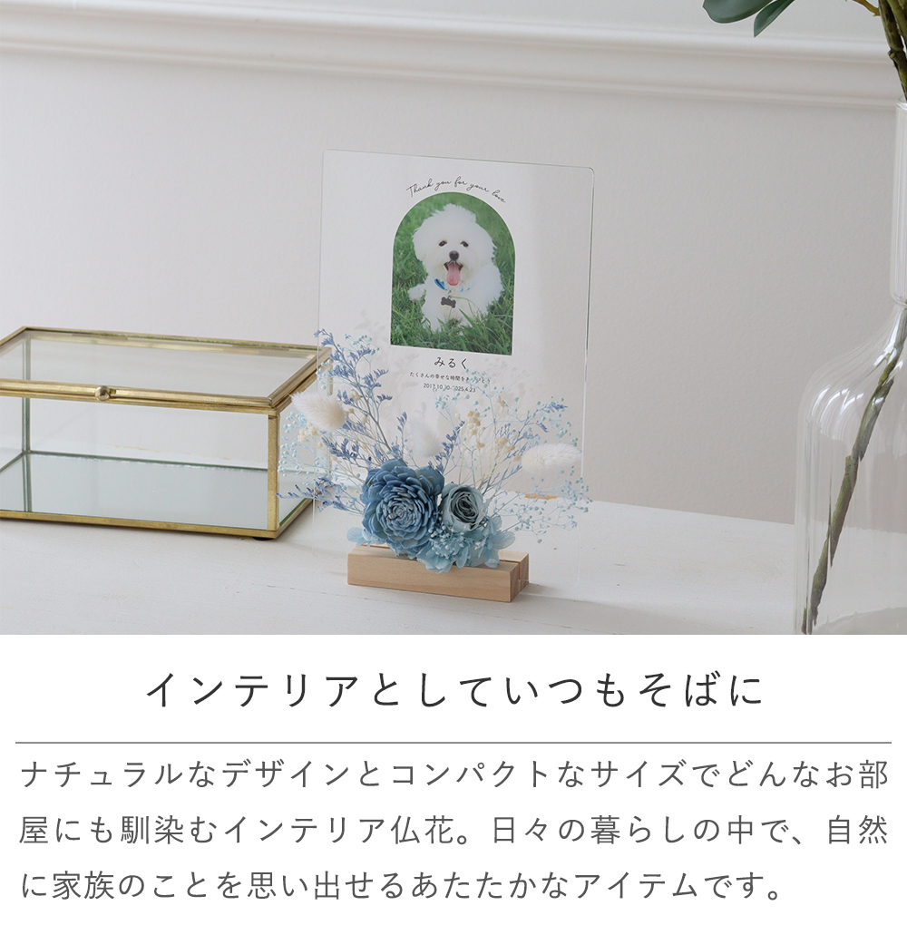 インテリアとしていつもそばに