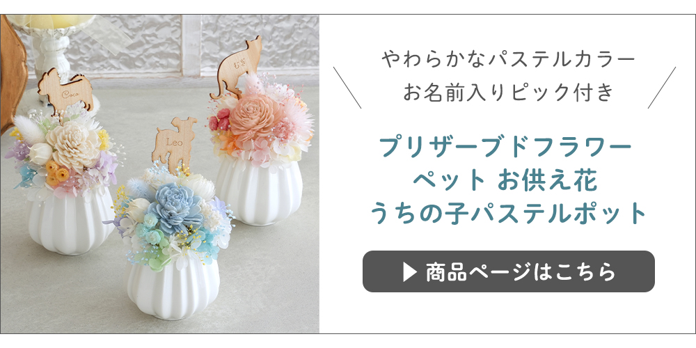 プリザーブドフラワーうちの子パステルポット