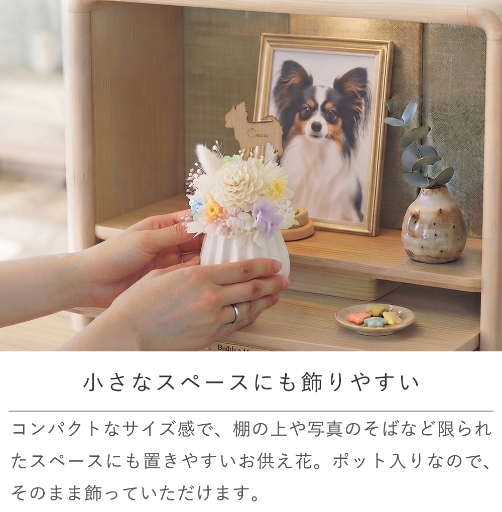 小さなスペースにも飾りやすい