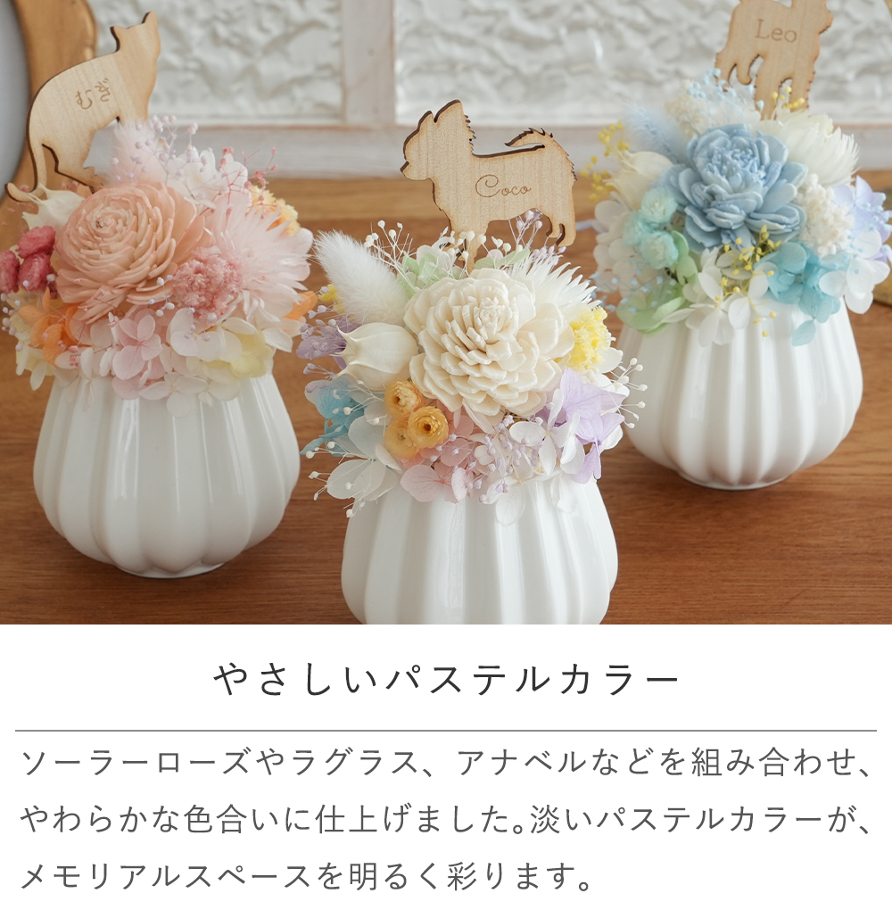 やさしいパステルカラー
