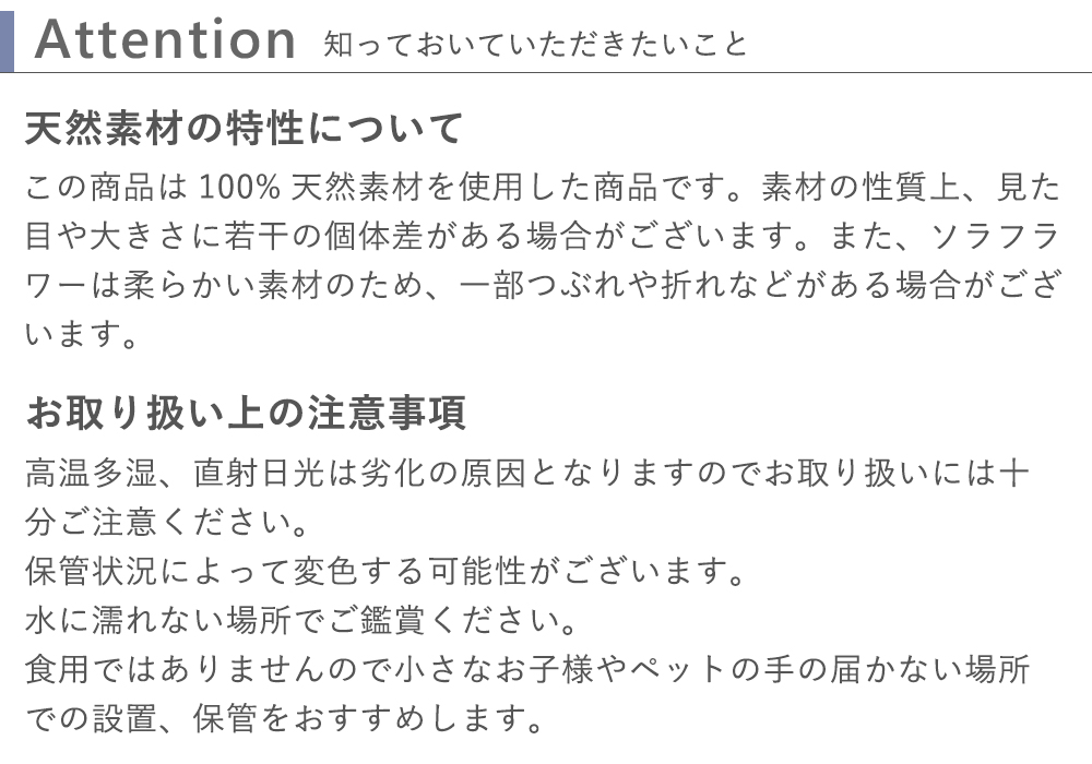 ソラフラワー クリアバッグブーケ