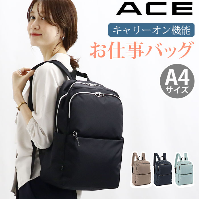 ace-020_b.jpg