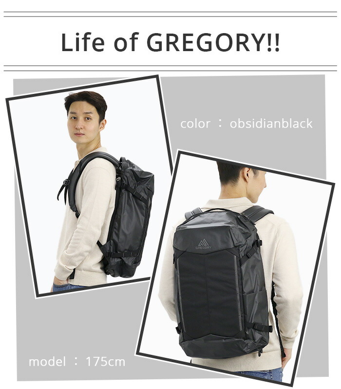 GREGORY グレゴリー COMPASS 30 コンパス30 リュックサック