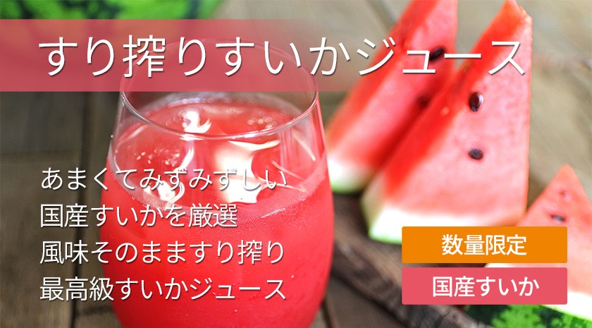 すいかジュース 茨城県産すいか 100%すり搾り 冷凍スイカジュース 100g×15袋入 食品添加物無添加 ギフト包装・のし対応不可