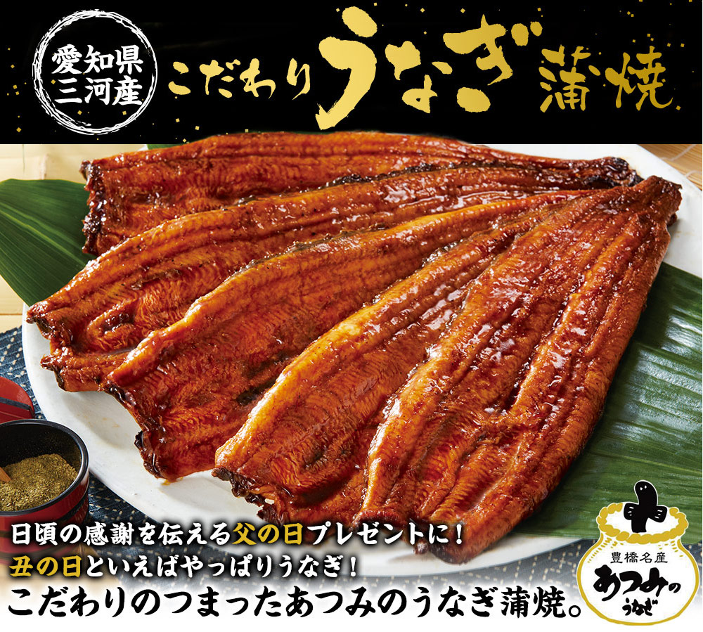 愛知県三河産うなぎ蒲焼 120g