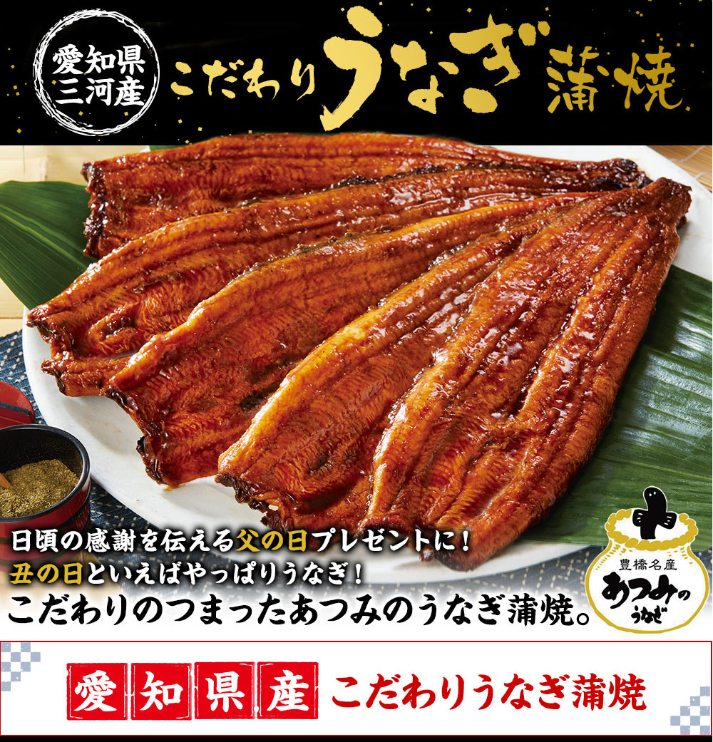 愛知県三河産うなぎ蒲焼 120g