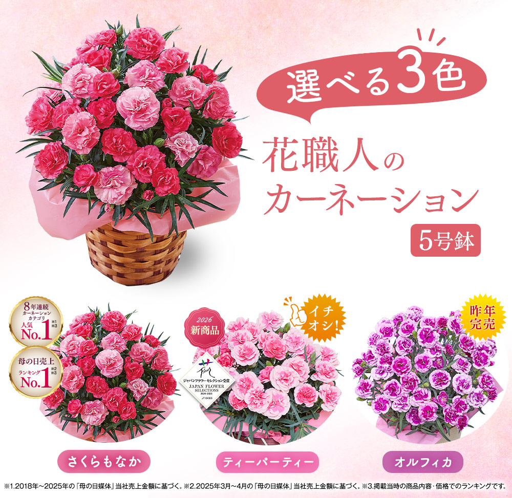 BELLUNA ＼700円オフ！／ 遅れてごめんね 母の日 プレゼント 花 2026