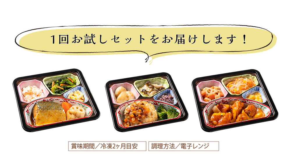 食品 冷凍弁当 おかず 宅菜便 はなまる 御膳 お試し版 セット 10種 10