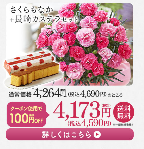 さくらもなかとカステラセット