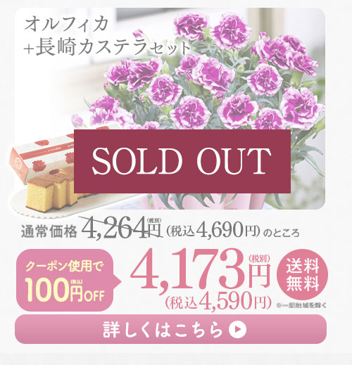 オルフィカとカステラセット