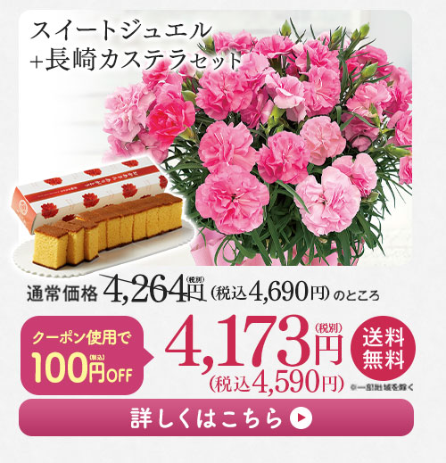 スイートジュエルとカステラセット