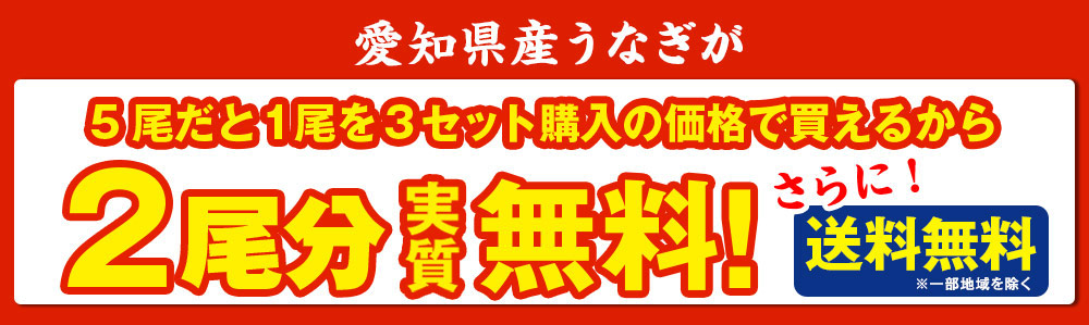 愛知県三河産うなぎ蒲焼 180g