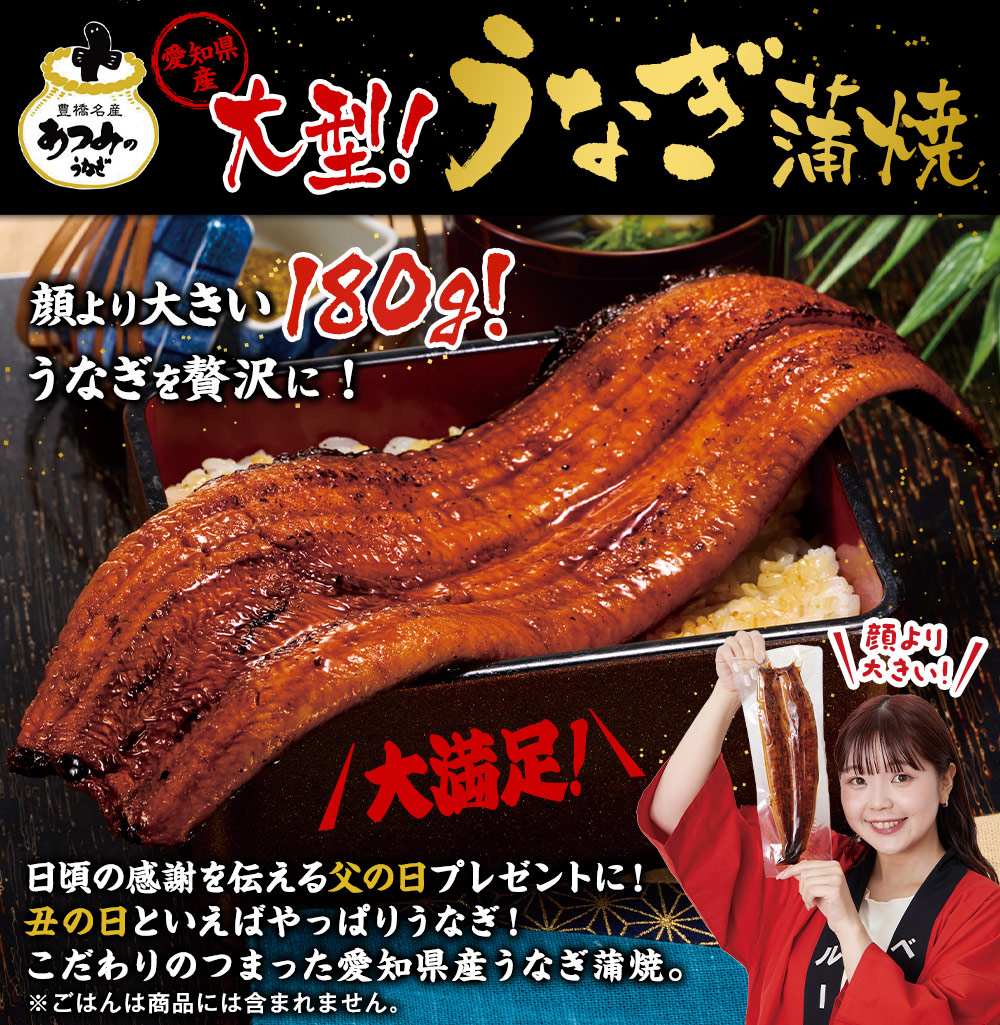 愛知県三河産うなぎ蒲焼 180g