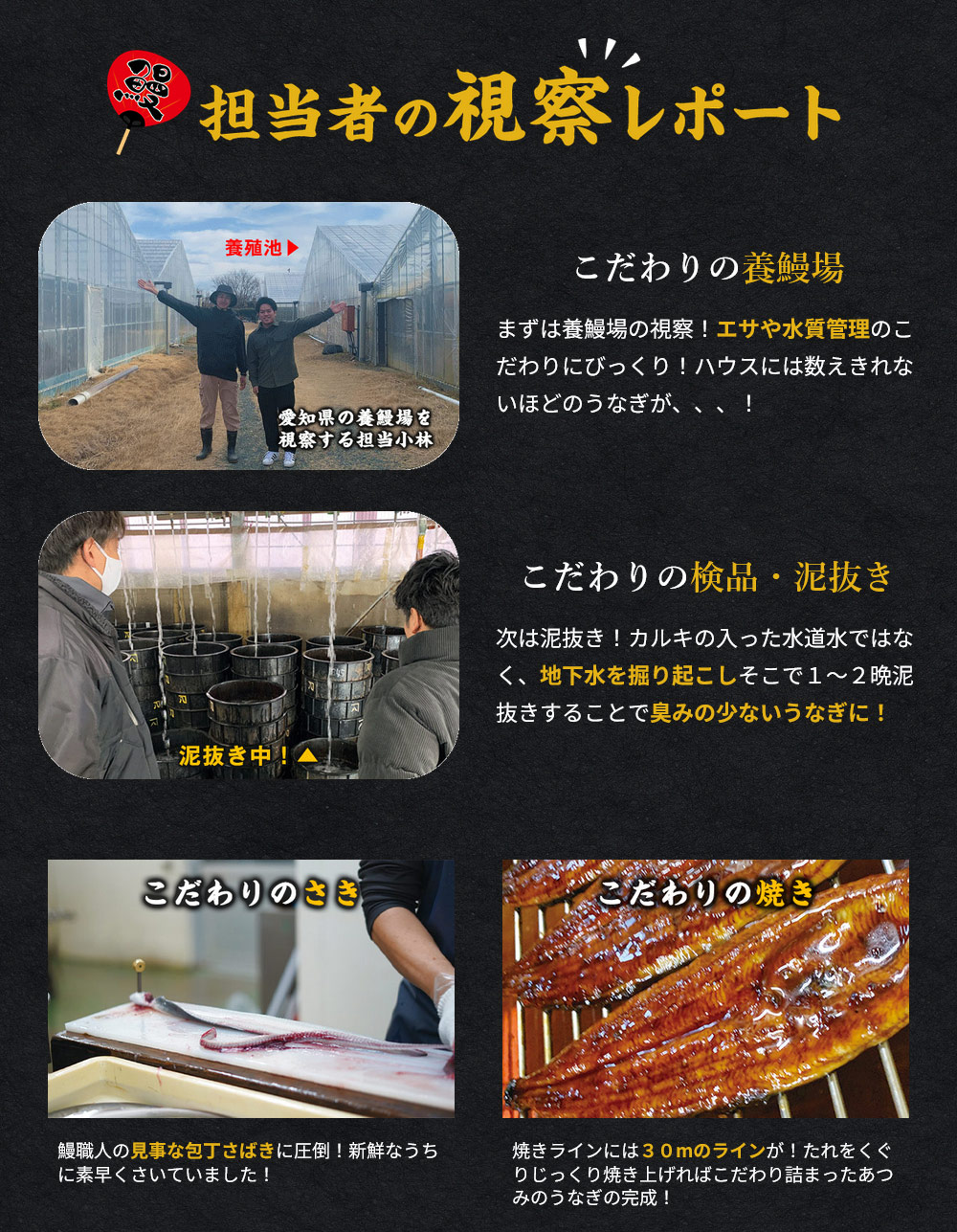 愛知県三河産うなぎ蒲焼 180g