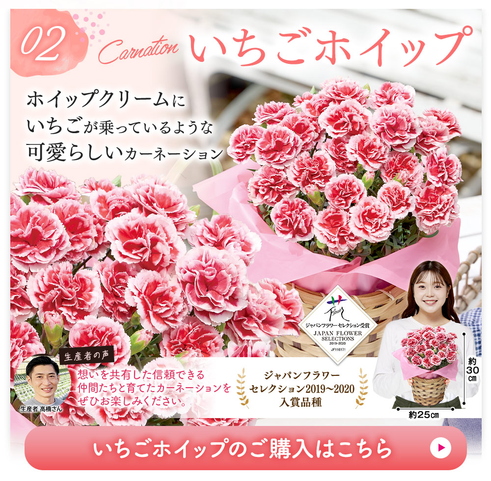 いちごホイップ
