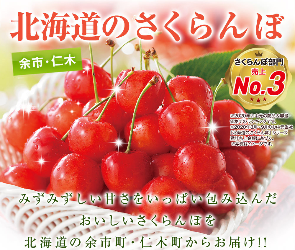 春の最新作 送料無料 送料無料 お中元 選べる北海道ギフト北海道メロン 仁木産さくらんぼ 0000 0190 お届け期間 7 7 7 22 注 北海道 沖縄 離島は プレゼント対象商品 Centrodeladultomayor Com Uy