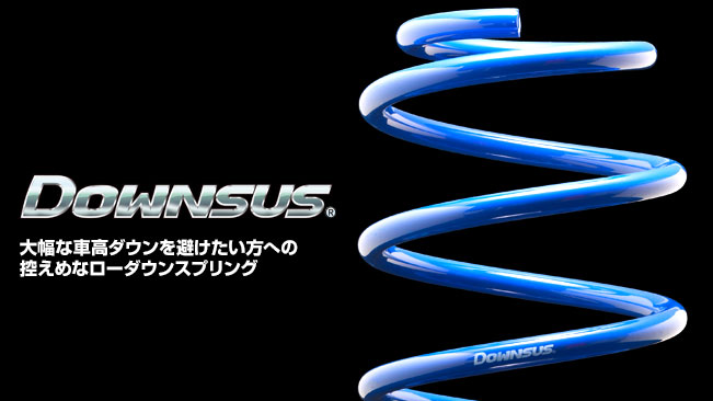 エスペリア サンバーバン TV2 ダウンサス 1台分 F-8084 ESPELIR ローダウン サスペンション スプリング 車高ダウン | ESPELIR | 01