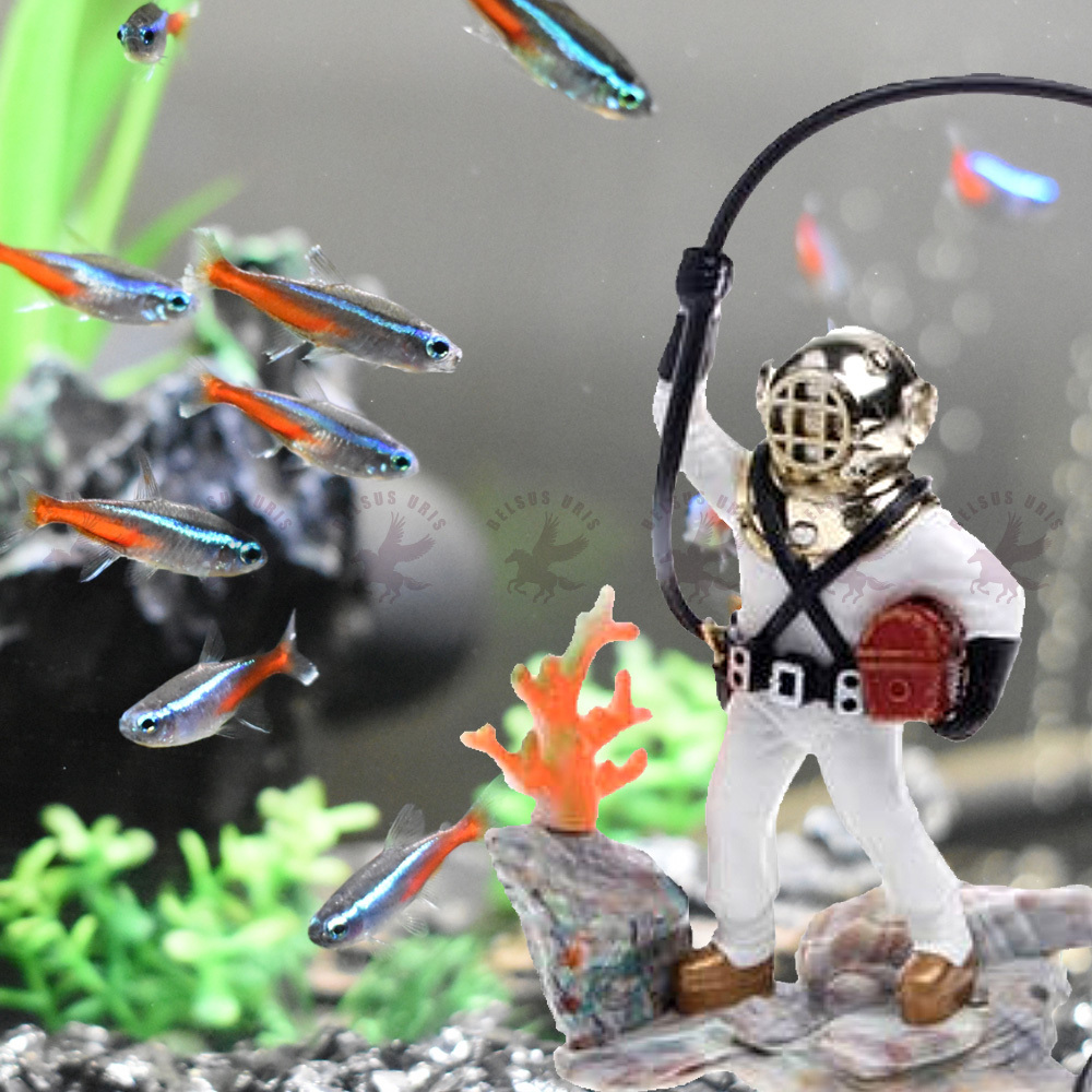 水槽 おしゃれ オブジェ エアーポンプ アクアリウム オーナメント 宝箱 ダイバー デコレーション トレジャーダイバー柄 白 送料無料