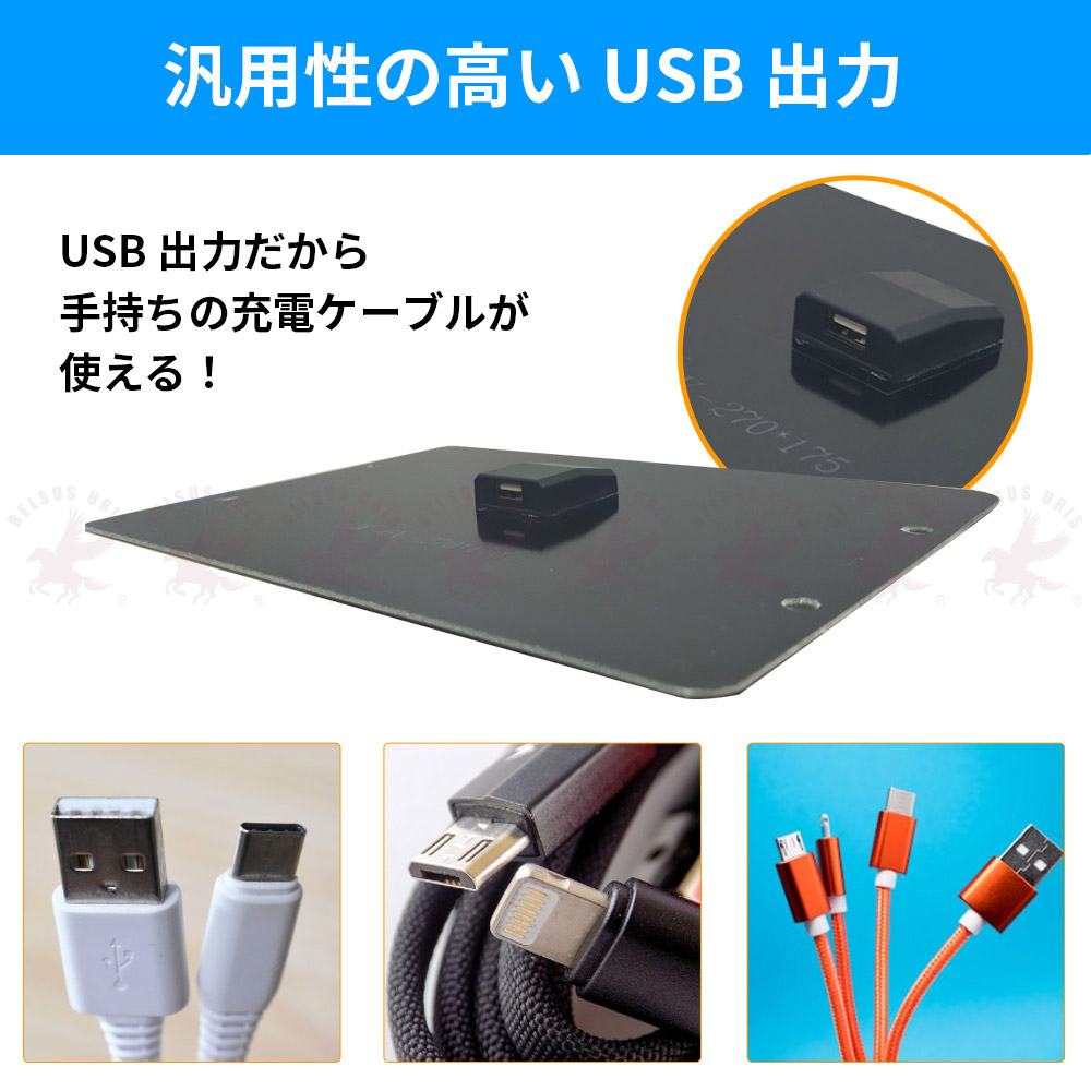 Amazon | [バイオライト] ソーラーパネル10 PLUS 1824270 | 太陽