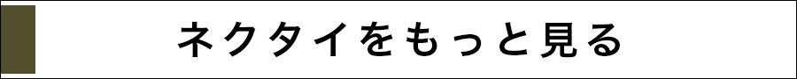 ネクタイをもっと見る