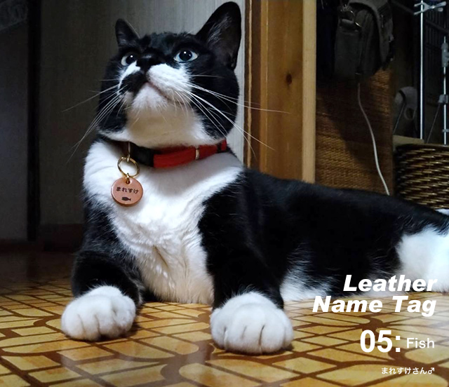犬 猫 ペット ネームタグ チャーム 名札 名入れ レーザー刻印