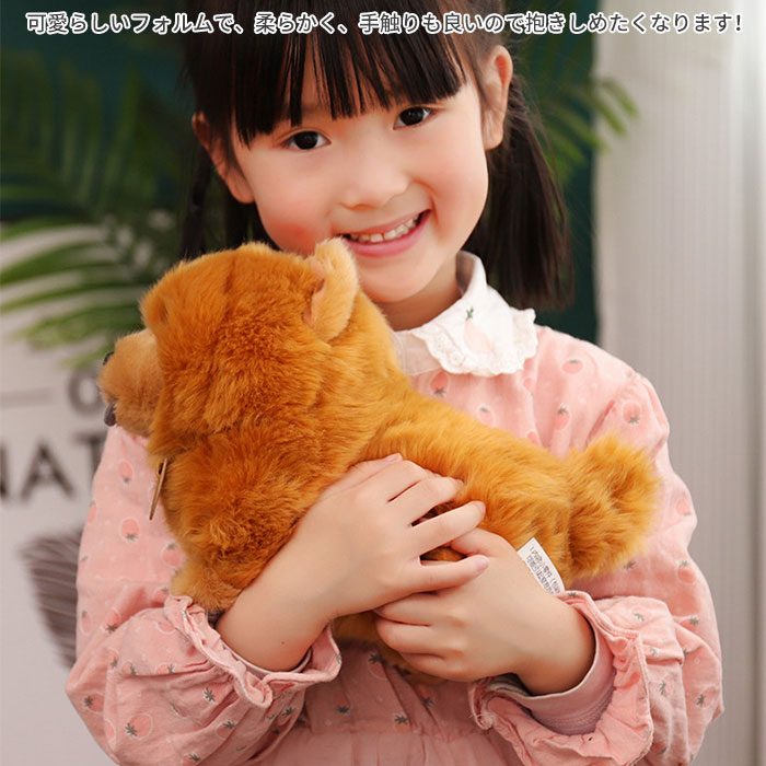 ぬいぐるみ いぬ イヌ 犬 チャウチャウ リアル 抱き枕 かわいい