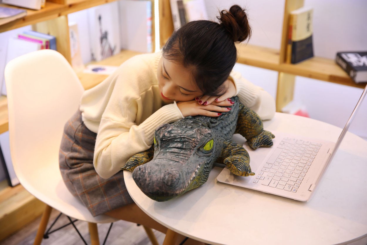 Amazon.co.jp: テレオンレイ ぬいぐるみ 特大 ワニ ぬいぐるみ