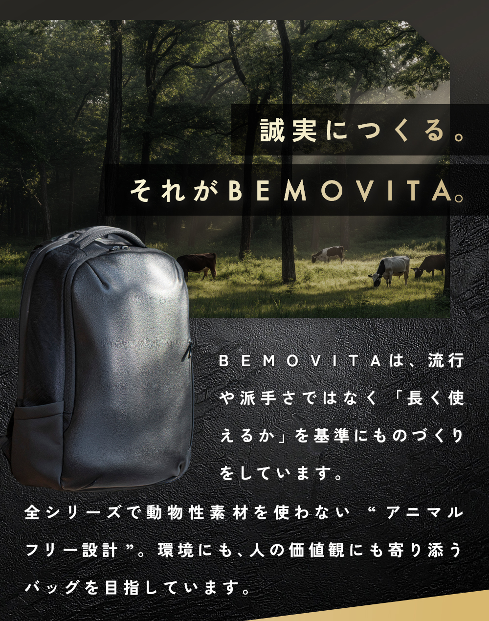 BEMOVITA F-LUXE BAGPACK（フラクス バッグパック） BEMOVITA F-LUXE メンズ リュック ビジネスリュック 通勤 通学 A4収納