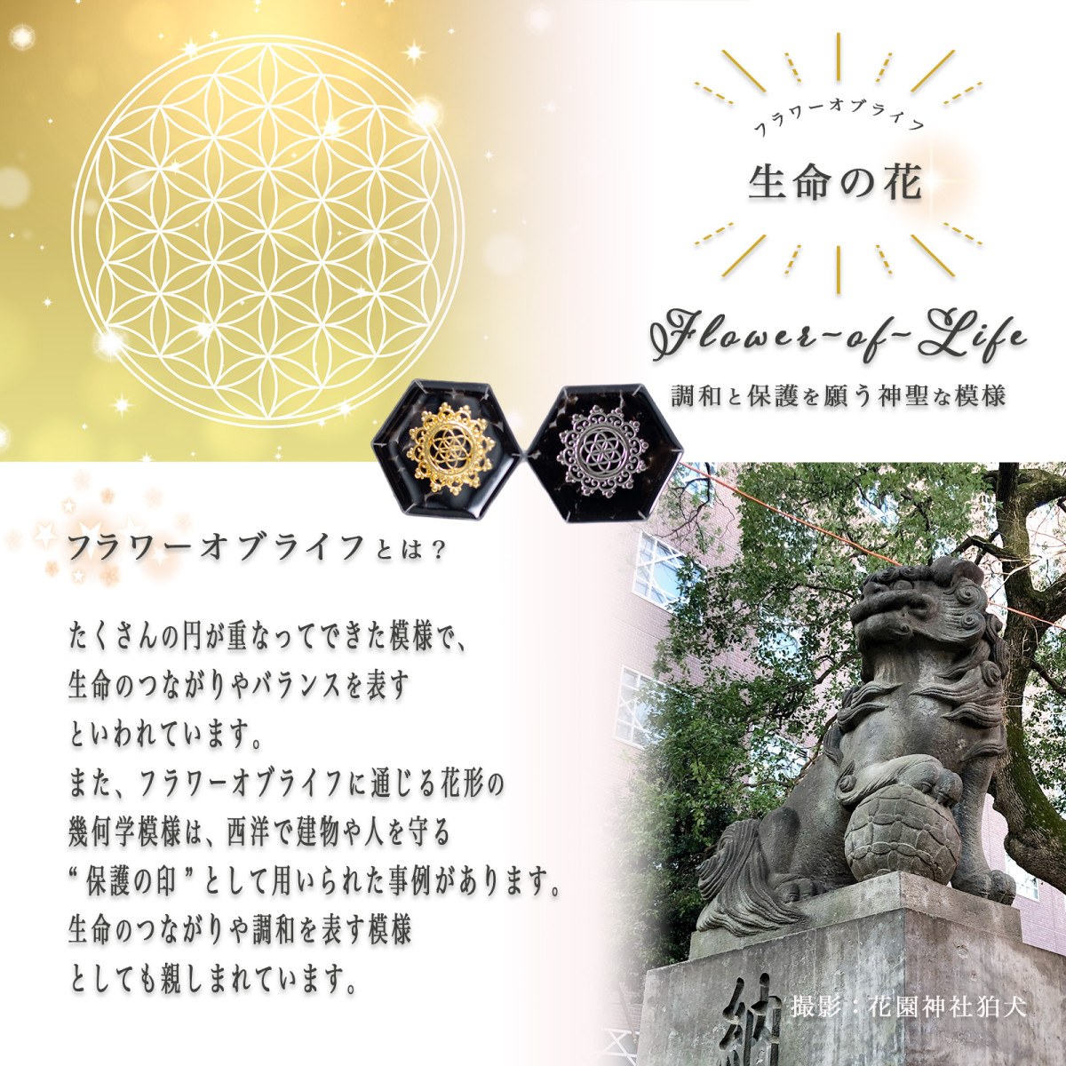 オーダー制 交換不要 盛り塩 モリオン 黒水晶 2個セット ゴールド
