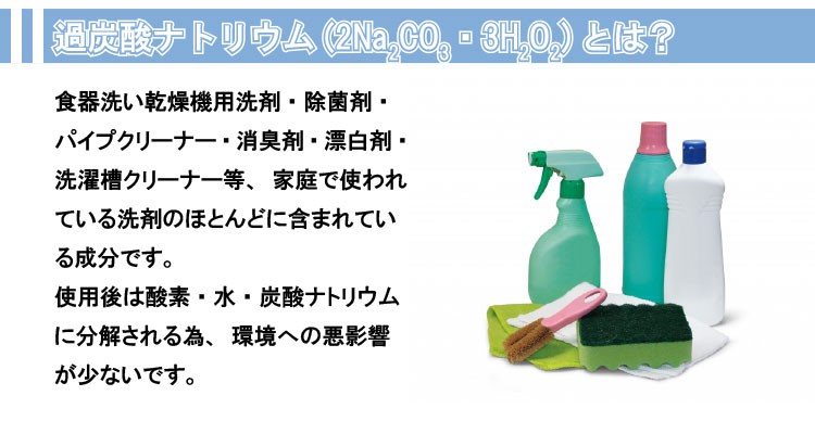 過炭酸ナトリウム (酸素系漂白剤) 1kg ×24個セット あすつく対応