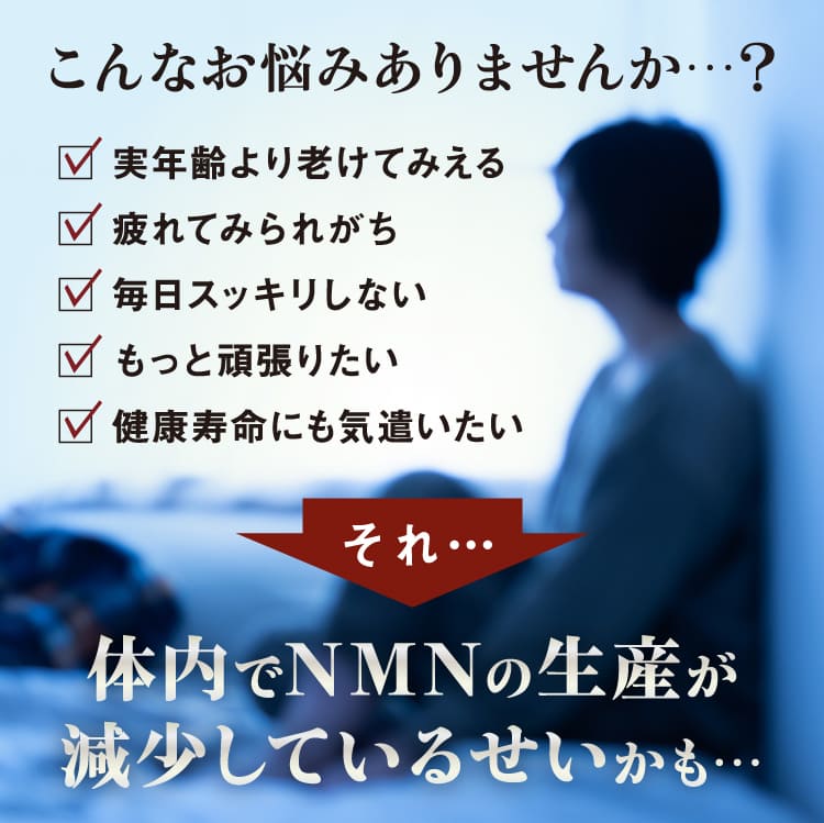 NMN7500 30粒入 12個セット 送料無料 あすつく対応/NMN サプリメント β-NMN 100% 高純度｜benkyoudou｜06