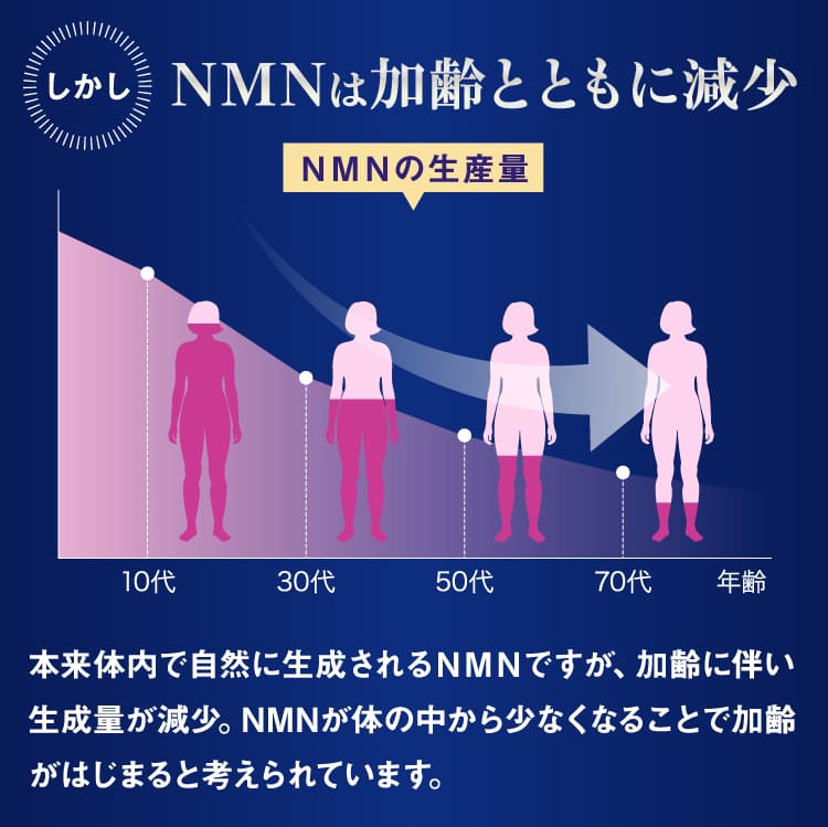 NMN7500 30粒入 12個セット 送料無料 あすつく対応/NMN サプリメント β-NMN 100% 高純度｜benkyoudou｜08