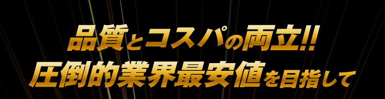 ロキソプロフェン na テープ ロキソニンテープ ロキソニン 湿布 ロキソプロフェンテープ