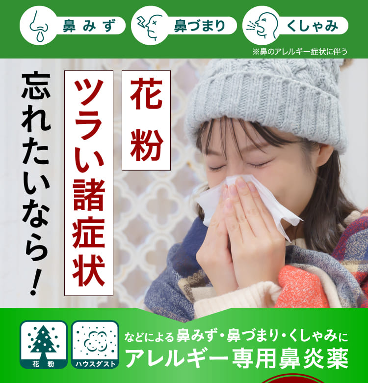 花粉症 薬 鼻炎薬 アレルギー専用 第2類医薬品 ロラタジンRX 40錠 セルフメディケーション税制対象商品 送料無料 あすつく対応