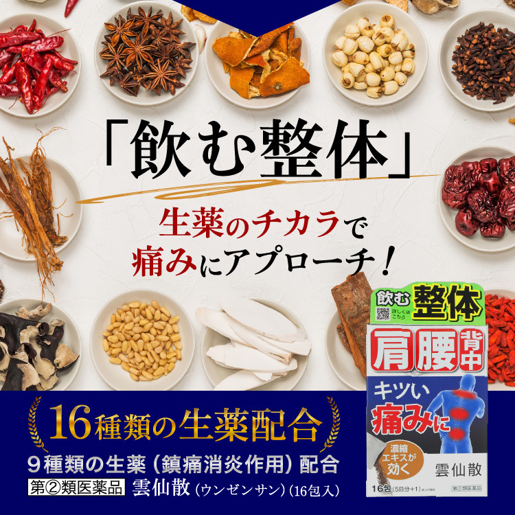 第(2)類医薬品】雲仙散 16包 ×3個セット 送料無料 ※セルフメディケーション税制対象商品  :cs-4987210329113set3-yk:くすりの勉強堂 通販 