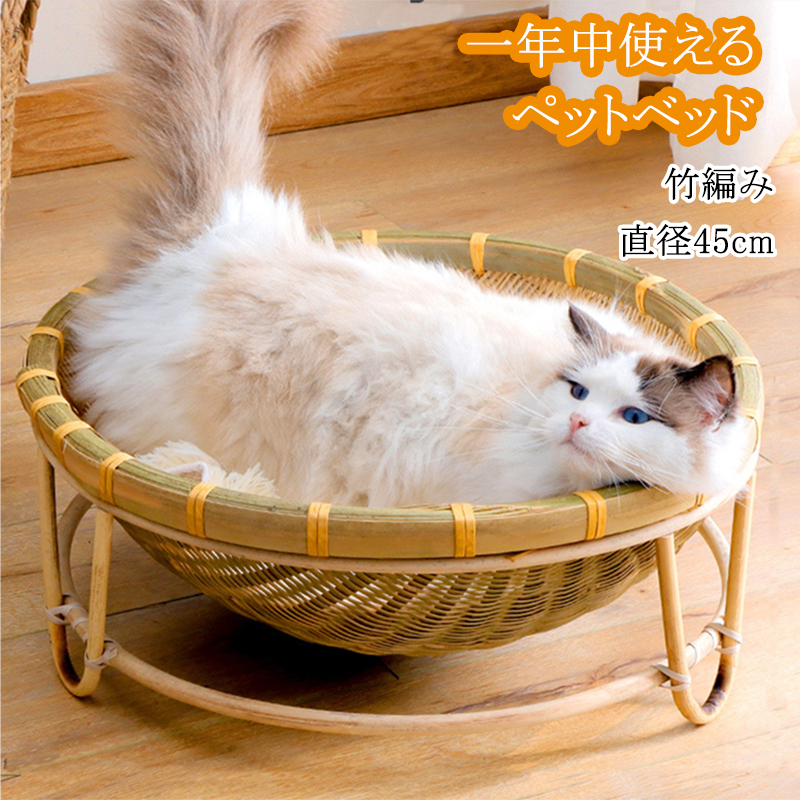 pet01e0.jpg