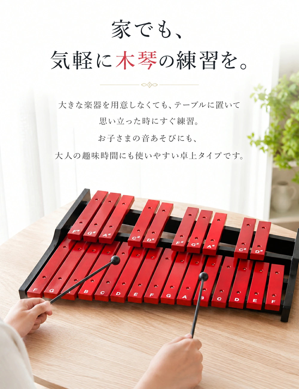 木琴 25音 卓上木琴 天然木 木製 シロフォン 収納ケース付き お手入れ