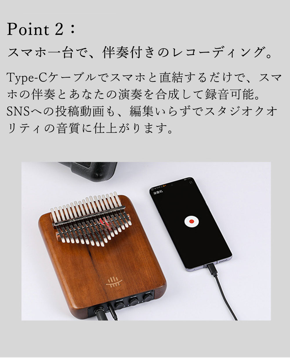 カリンバ エフェクター内蔵 17音 21音 電音カリンバ 全単板 アメリカ産