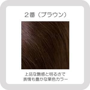 BHDCヘアカラー2