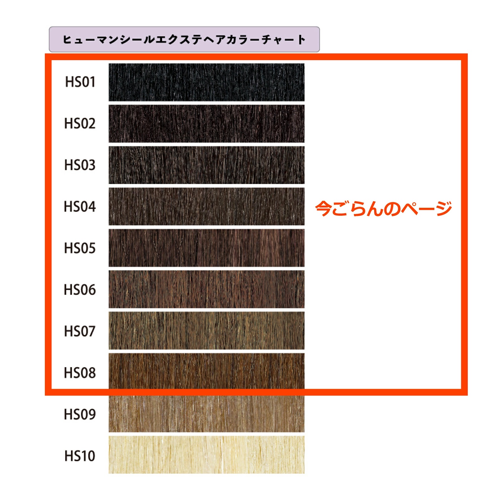 アレスプランニング アレス 人毛100% シール エクステ 20枚入り（20cm